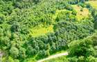 Investitie Smart in Moieciu, 3.1 ha, Panoramă 360 Bucegi - Piatra Craiului - 3