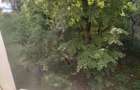 Apartament  Luminos 3 camere. Bld. Brancoveanu. - 4