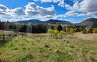 Teren 1,5 hectare - la Piatra Fantanele - 4
