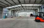 Magurele,hala 1000 mp,constructie noua ,ideal depozitare,productie - 1