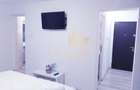 Apartament 1 camera, ETAJ 1- Zona Bucovina - 9