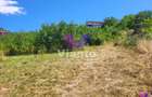 Teren Intravilan 546 mp | Panorama deosebita | PUZ in lucru