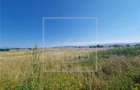 Teren intravilan de 10.000 mp, Calea Surii Mici - 6