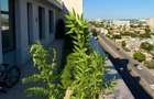 Penthouse - 5 camere - decomandat - Mihai Bravu - 5