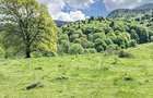 TEREN POTENTIAL TURISTIC - Rasnov - Cheisoara - 3