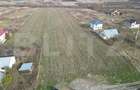Teren, 5400 mp, Ciurea - 1