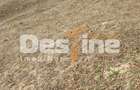 Teren 5000 mp, ideal cabana, pensiune,  in zona de interes  turistic  Rucar-Bran - 7