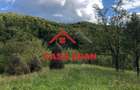 Teren extravilan in Brebu(Pietriceaua)--9104mp--50.000e - 8