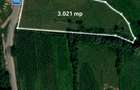 Investitie teren generos 3021 m limita intravilan, Via Transilvanica, Sinca Noua - 2