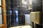 Inchiriere apartament 3 camere zona Colentina / D-na Ghica / vizavi de parc - 9