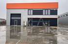 Hub Logistic Chiajna - Inchiriere Hala 553 mp - 5