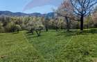 Ocazie! Teren 2885 mp Bran- Predelut / Strada Pe Tarina nr. 70A - 12