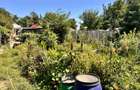 Teren + Casă de Vânzare Bacău, Calea Romanului – 1.850 mp - 4