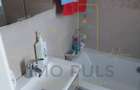 Apartament pe 3 nivele. Terasa 30 mp. 2 Balcoane. 2 Bai. Gradina - 13