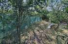 Casă individuală – Someșeni, teren generos 625 mp - 12