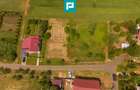 Teren intravilan de 596mp în Cicir, Vladimirescu - 6