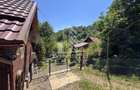 Casa din lemn, zona muntoasa, cu rau, la cheie, Ribita, Hunedoara - 43
