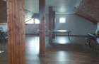 Vila Cornetu, Ilfov - 15