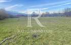 EXCLUSIV | TEREN INTRAVILAN | INVESTIȚIE | BEIUȘ – STR. PLOPILOR | 13.500 MP - 6