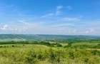 Teren 3600 mp extravilan Dobrovăț, Iași - 1.6 euro/mp, Negociabil, Priveliște Panoramică - 1