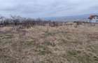 Teren Intravilan Alba Iulia Zona Coasta Curata - 1