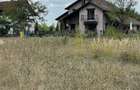 Vand teren intravilan 3774 mp Pădurea Scrovistea Peris Balteni - 7