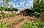 VANZARE TEREN INTRAVILAN - STRADA PRIVATA - STREJNICU, PRAHOVA - 5