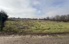 Oportunitate! Teren Sabareni intravilan 6200MP D:28,5M! - 3