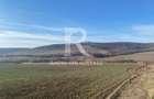 Teren extravilan de vanzare 3.900mp | Mierlau | Bihor - 1