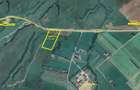 Teren superb cu PUZ in zona Panicel Rasnov spre Bran - 1