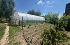 Royal Imobiliare-Vanzare Vila Zona Romanesti - 24
