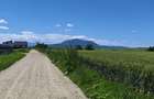 Loturi de casă în Hălchiu - Brașov. - 3