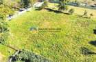 TEREN intravilan 3260 mp  ROZNOV – CHINTINICI - 7