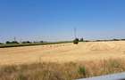 Vand 2.5 ha teren extravilan langa centura VTM - 5