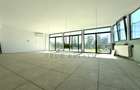 Penthouse cu gradina proprie - 12