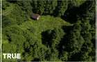Teren intravilan 2.800 m² în Câmpu Cetății – liniște și natură - 5