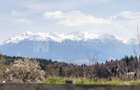 🌿 Teren Intravilan 3.791 mp | Priveliște Panoramică Superbă | Poiana Mărului - 2
