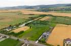 Teren de 10.000 m.p. cu deschidere la DN in Silistea/Todiresti - VS - 5