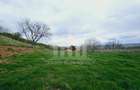Teren intravilan | De vanzare | 630 mp | 22 ml deschidere | Seigau - 3