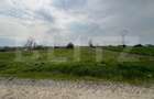 Teren de vanzare, 3800 mp, zona Isalnita - 3