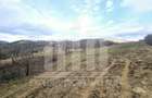 Teren intravilan | De vanzare | 12211 mp | Geogiu de Sus - 5