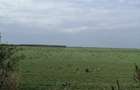 Branesti - 5