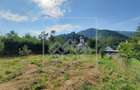 Casa in centrul Cisnadioarei - teren 1177 mp - ideal investitie - 1