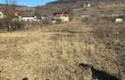 Teren intravilan pentru casa 2400 mp front 16ml Radaia sub pretul pietei - 1