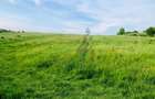 Teren mixt de vanzare in Hidiselu de Jos, Bihor - 3
