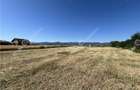 Teren extravilan de 10400 mp cu 2 deschideri in Cristian zona Serelor - 3