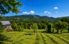 Vila deosebita cu 7 camere si 5 bai, 4290 mp teren, vedere panoramica – Valea Do - 3