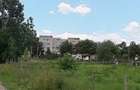 De vânzare: livadă de nuci pe teren intravilan. - 5