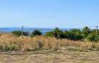 TEREN INTRAVILAN 10.000 MP, BUCIUM PĂUN, P+2E, PANORAMĂ IAȘI, 25 EURO/MP - 4