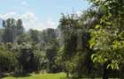 Pensiune de 11 camere, 650 mp, zona Sohodol-Bran - 1